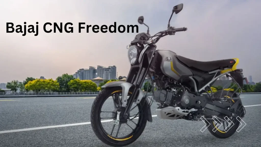 Bajaj CNG Freedom Bike